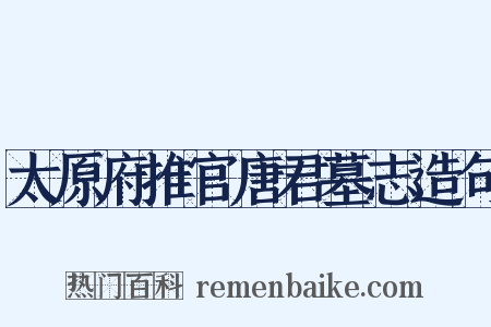 太原府推官唐君墓志造句是什么意思的图片